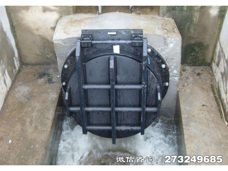 大冶鋼制水渠拍門
